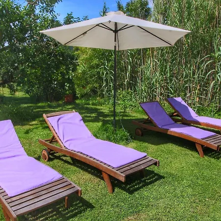 别墅 Cozy In Tuscany With Swimming Pool *