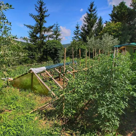 别墅 Cozy In Tuscany With Swimming Pool